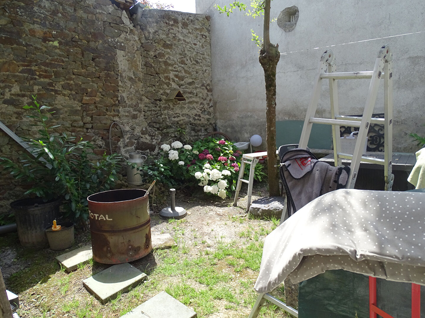 Garden area of a property in Finistère, Brittany, featuring greenery, a ladder, and outdoor furniture.