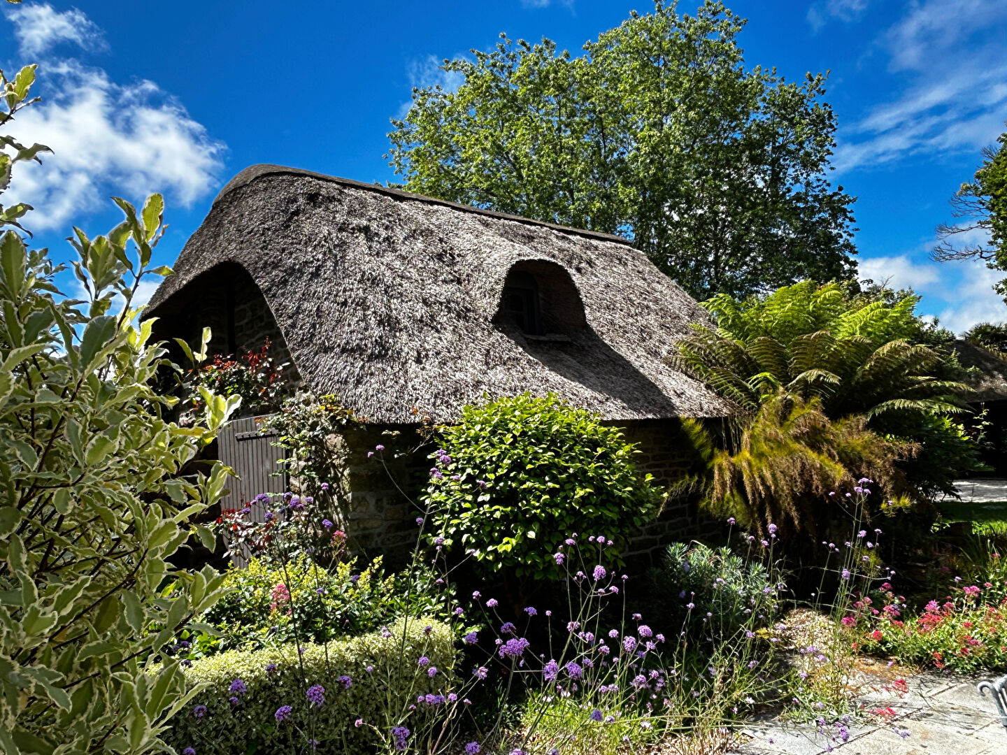 House in Quimper - Image 3