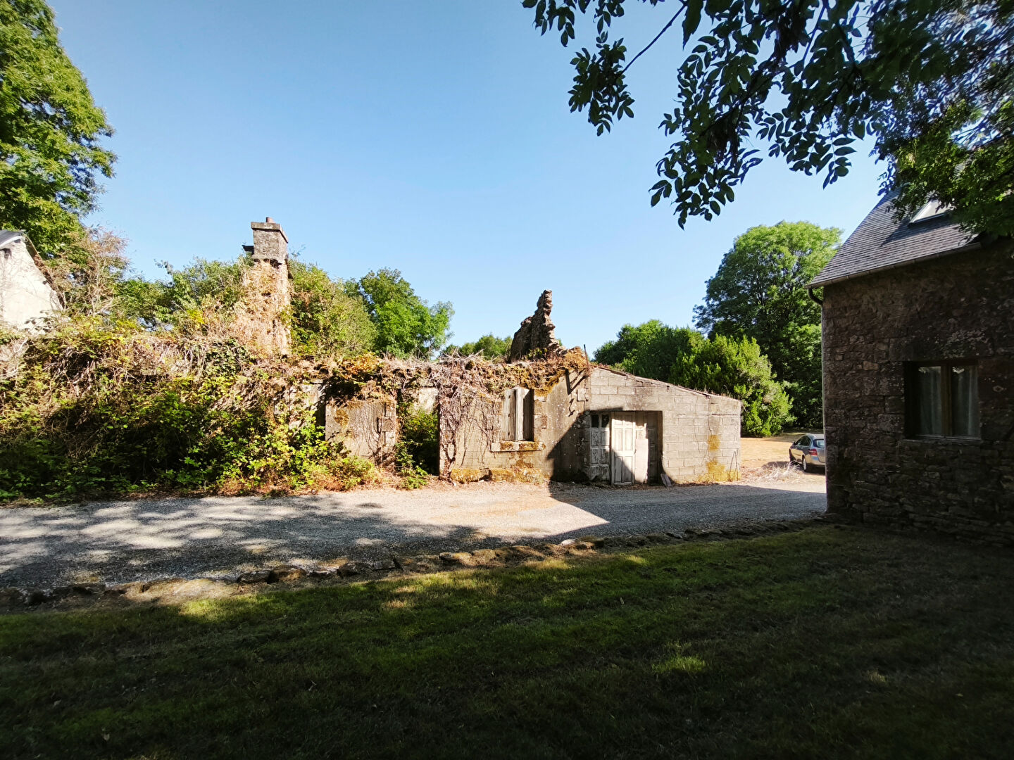 Renovation potential for a property in Morbihan, Brittany, featuring overgrown stone walls and ample outdoor space.