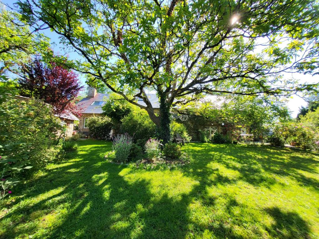 CORREZE. CHAMBOULIVE. Stone house with 6 bedrooms, swimming pool, 2 garages, car port, surrounded by gardens of 5 498m2