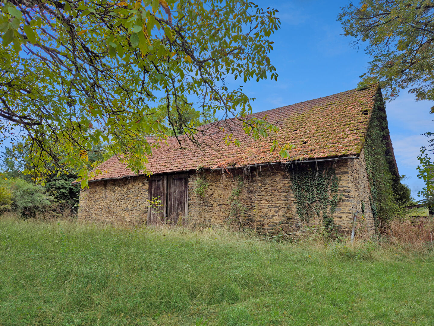 Agence immobilière de Agence Newton