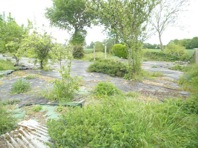 Photo Terrain à Bâtir image 2/3