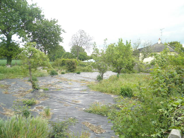 Photo Terrain à Bâtir image 3/3