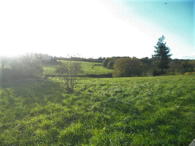 Photo Terrain constructible hors lotissement, image 4/6