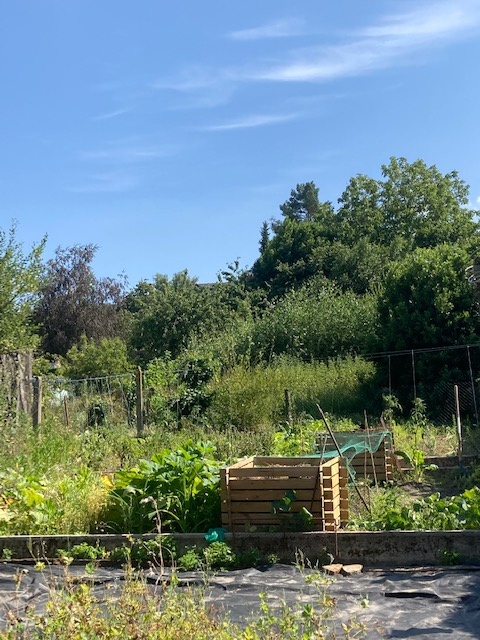 Photo Maison de bourg, 2 chambres, 1 bureau. image 2/6