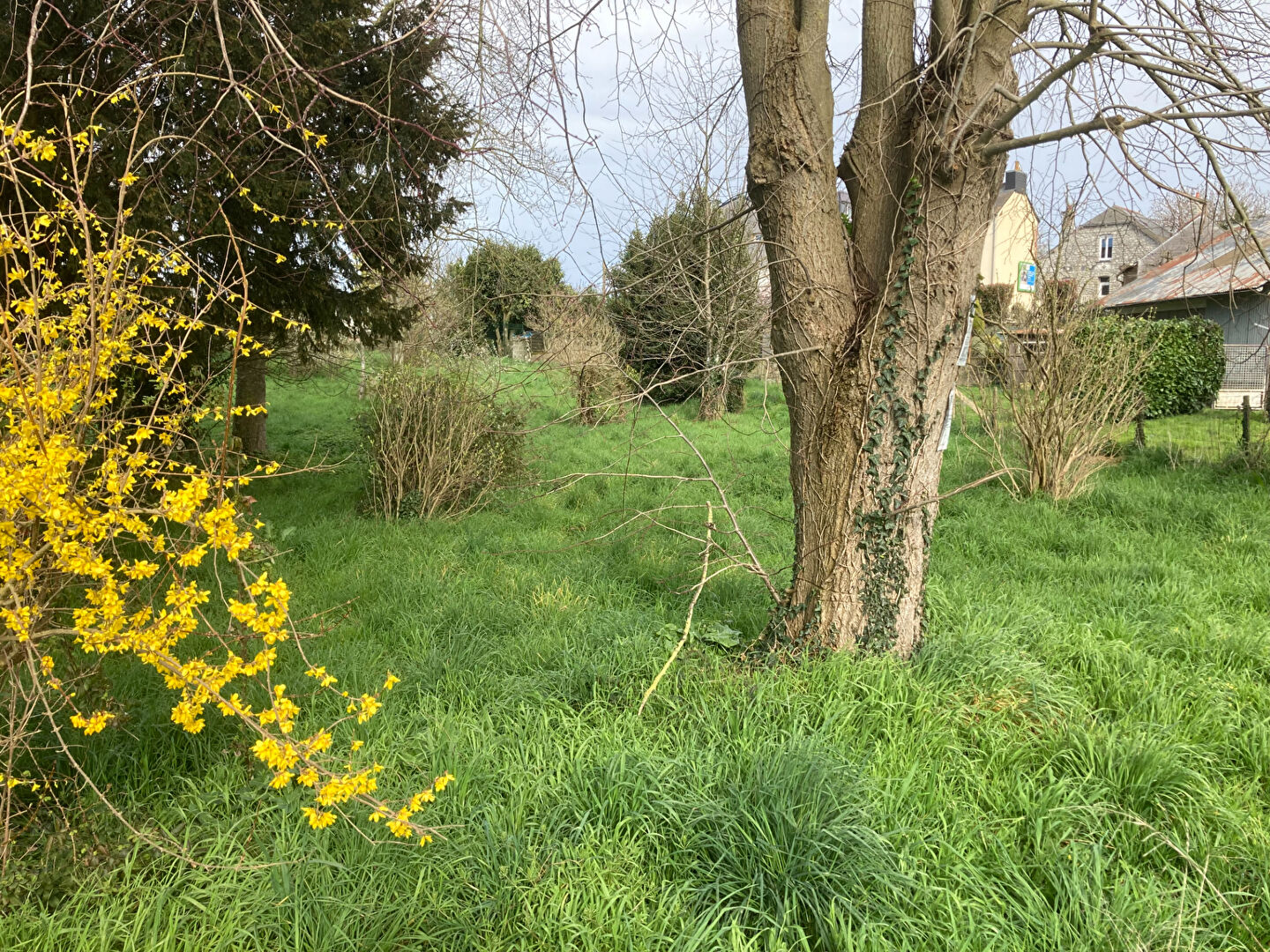 Terrain constructible de 1322 m2.