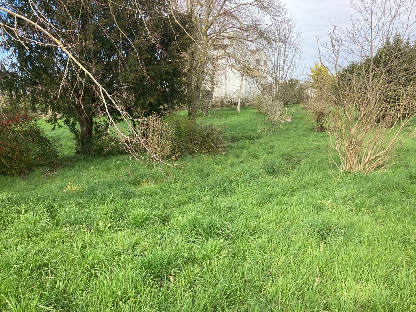 Photo Terrain constructible de 1322 m2. image 2/2