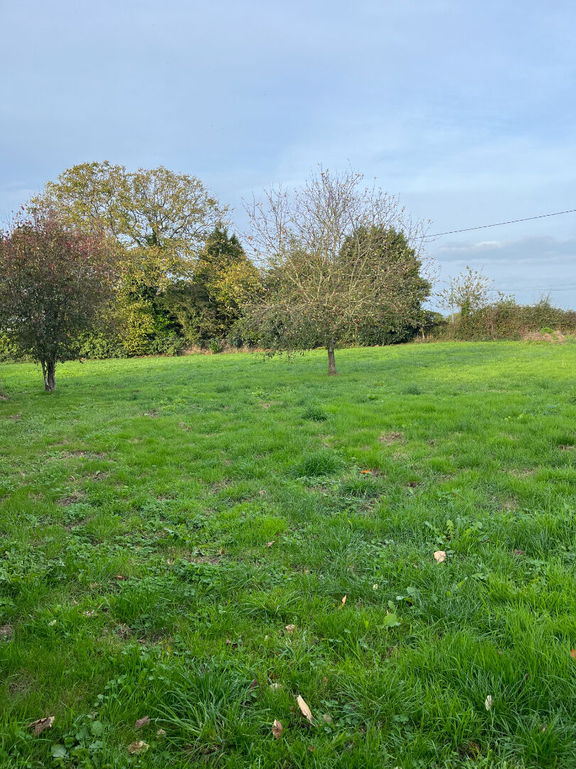 Photo Terrain constructible de 3200 m² . image 2/5