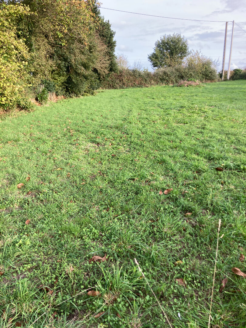 Photo Terrain constructible de 3200 m² . image 4/5