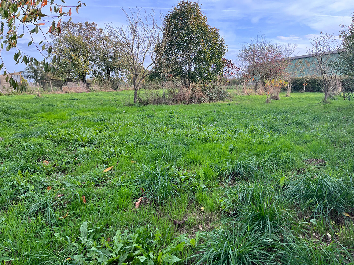 Photo Terrain constructible de 3200 m² . image 5/5