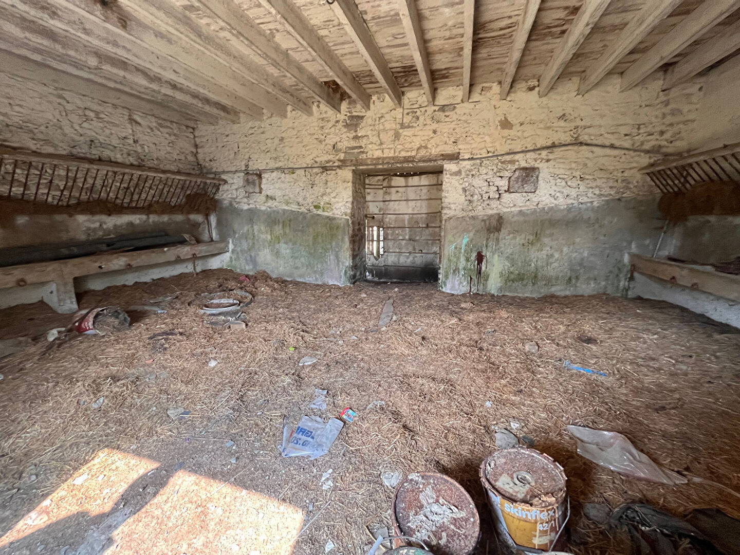 Photo Maison à vendre Thourie 5 pièce(s) 242 m2. image 3/6