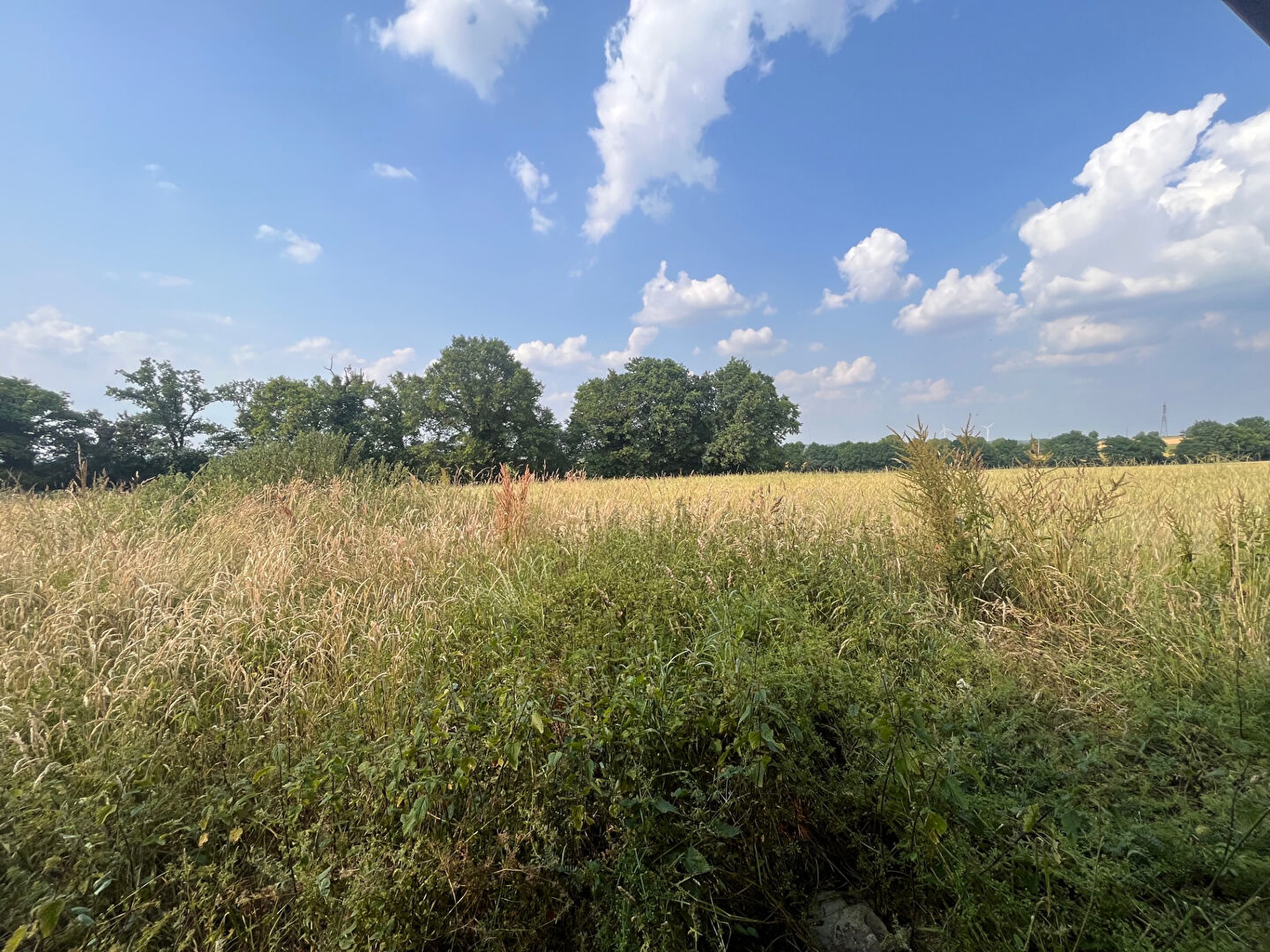 Photo Maison à vendre Thourie 5 pièce(s) 242 m2. image 4/6