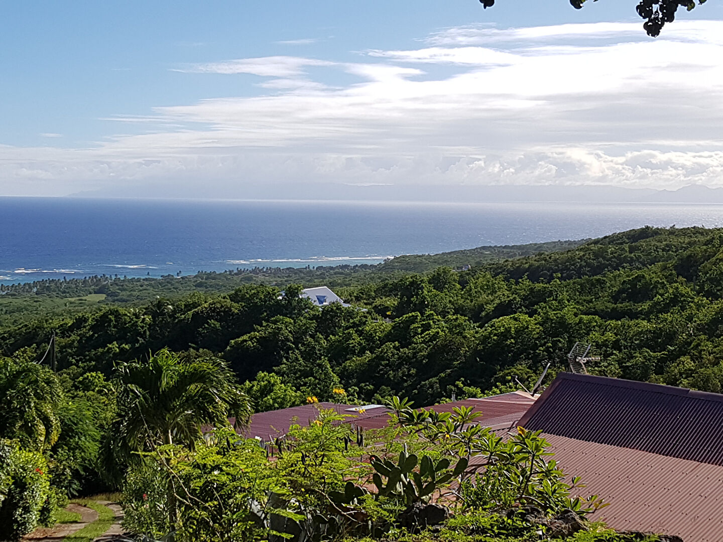 Agence immobilière de 
 AGENCE MARIE GALANTE - AGENCE MARIE GALANTE 
