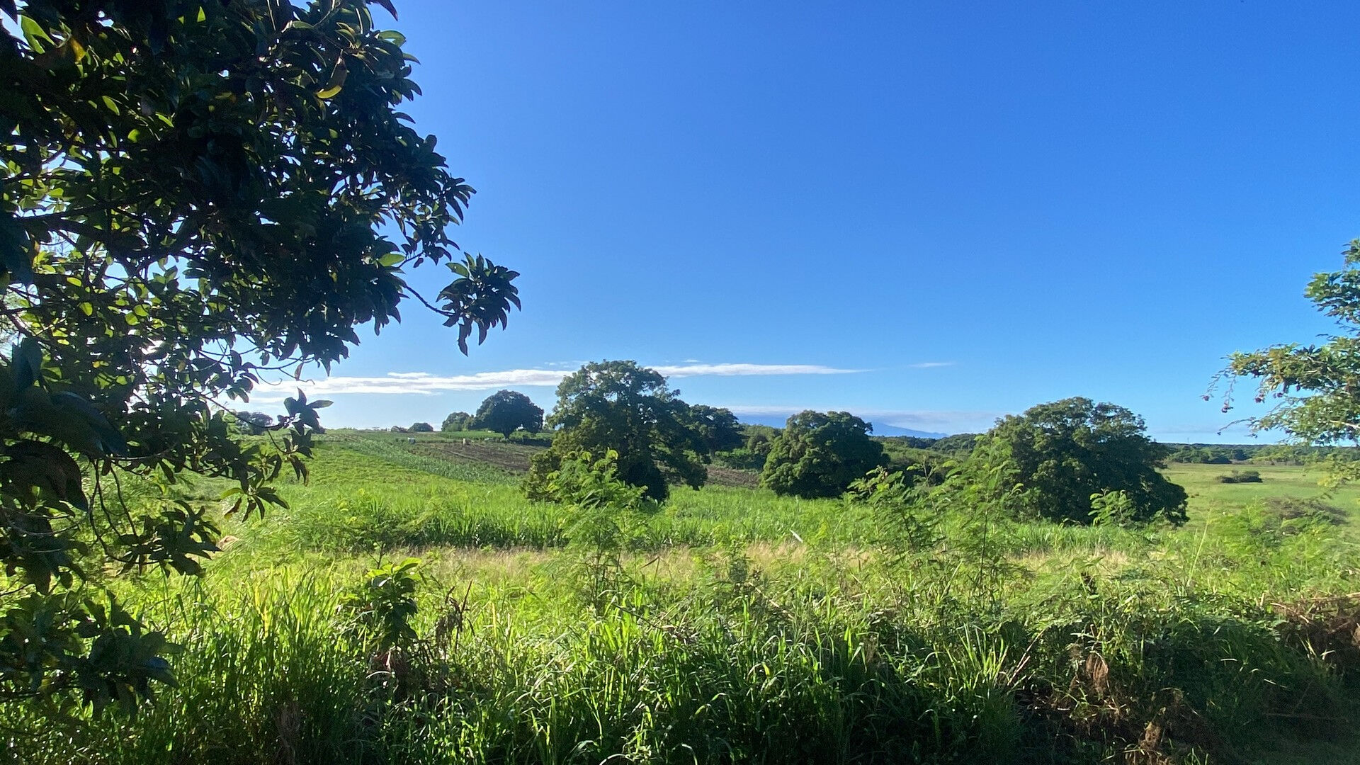 Agence immobilière de 
 AGENCE MARIE GALANTE - AGENCE MARIE GALANTE 
