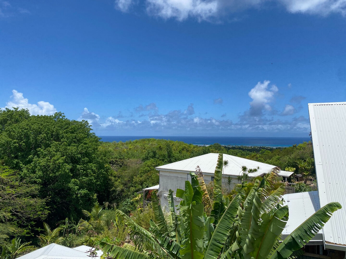 Agence immobilière de 
 AGENCE MARIE GALANTE - AGENCE MARIE GALANTE 
