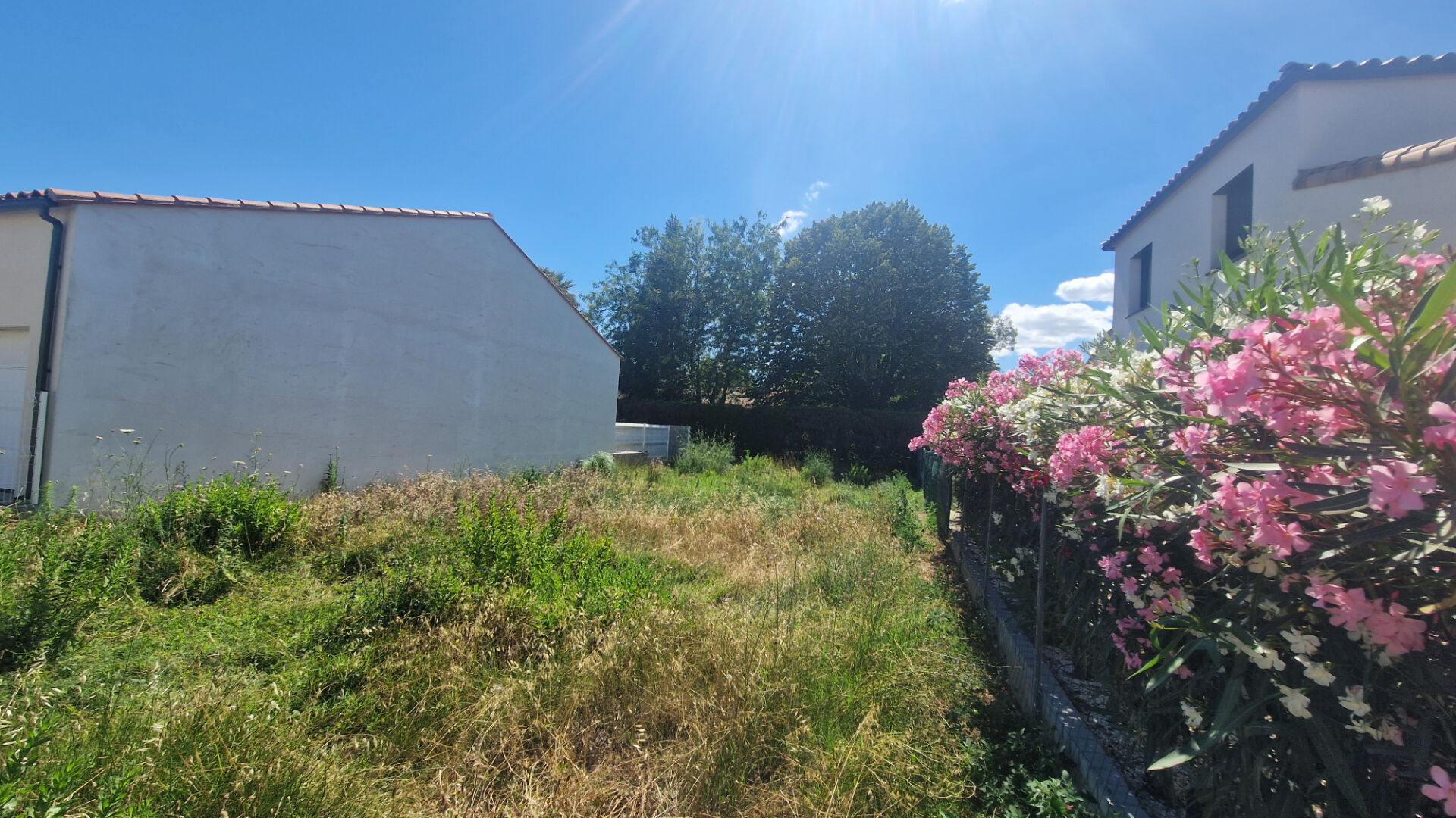 Photo Terrain  263 m2 SAINT-CYPRIEN image 5/6