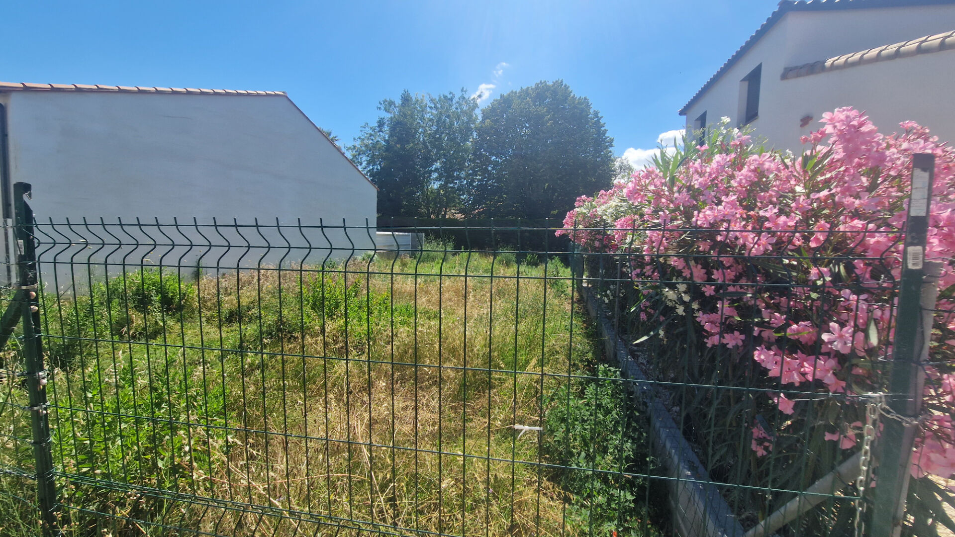 Photo Terrain  263 m2 SAINT-CYPRIEN image 6/6