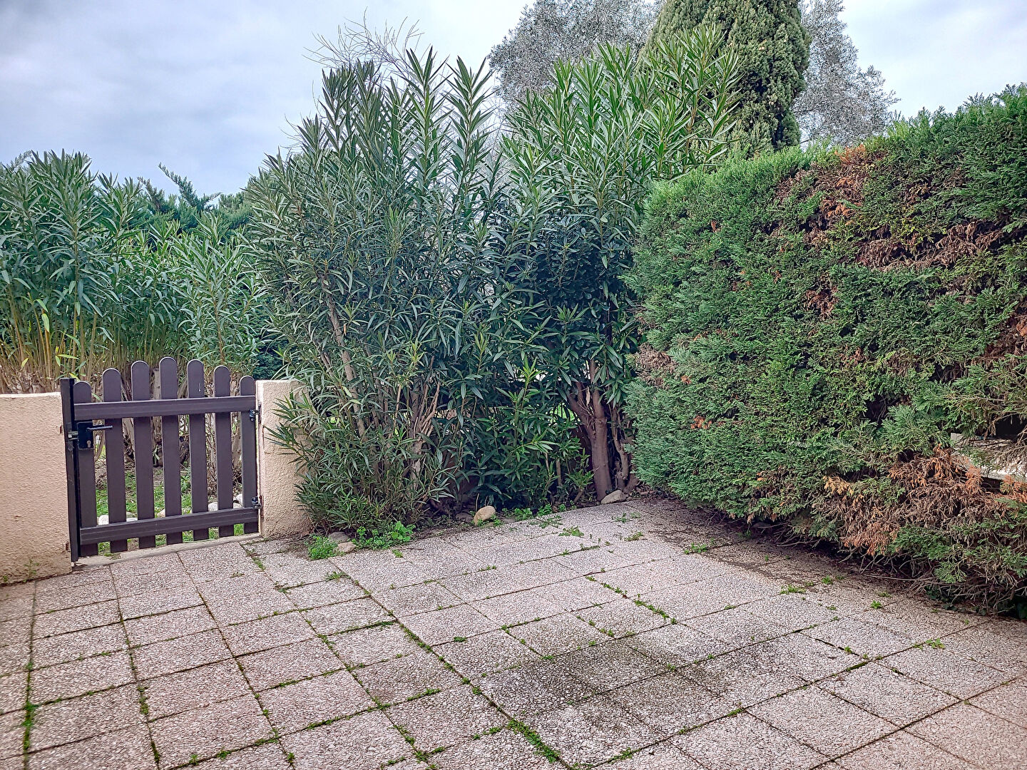 Photo Canet  studio cabine avec jardin image 3/6