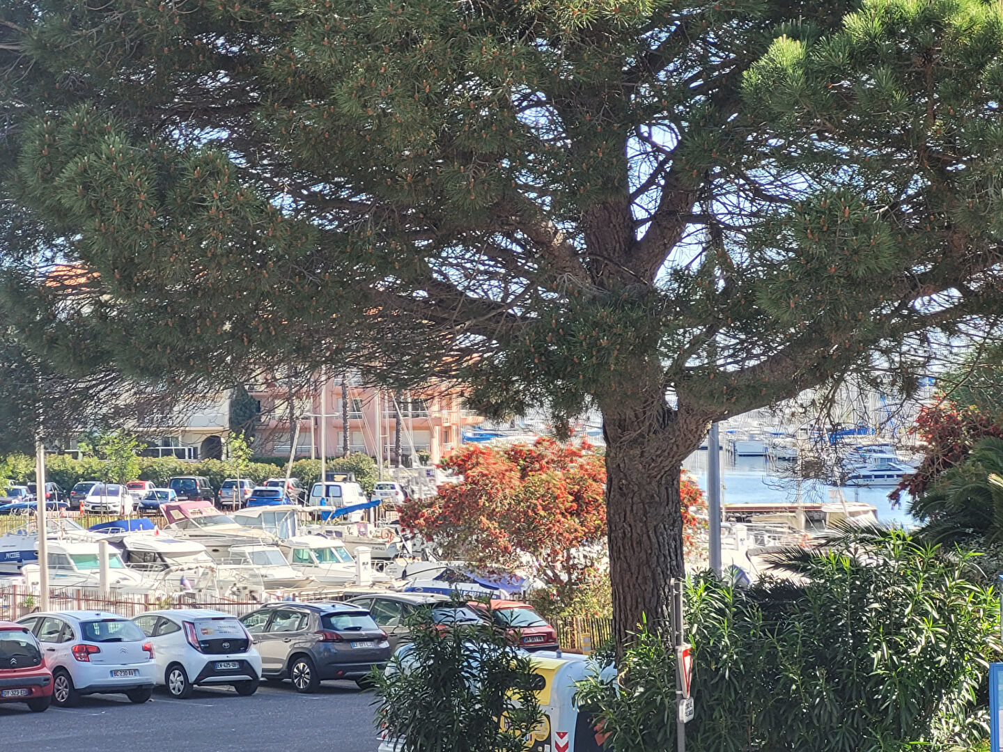 Photo Canet Plage grand T3 proche port image 2/6