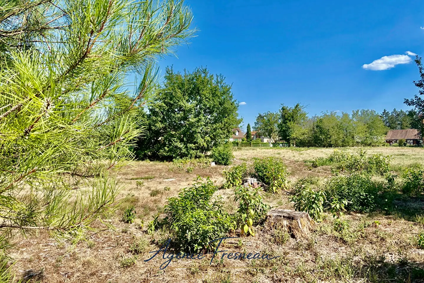 Agence immobilière de AGENCE FRESNEAU IMMOBILIER Amboise