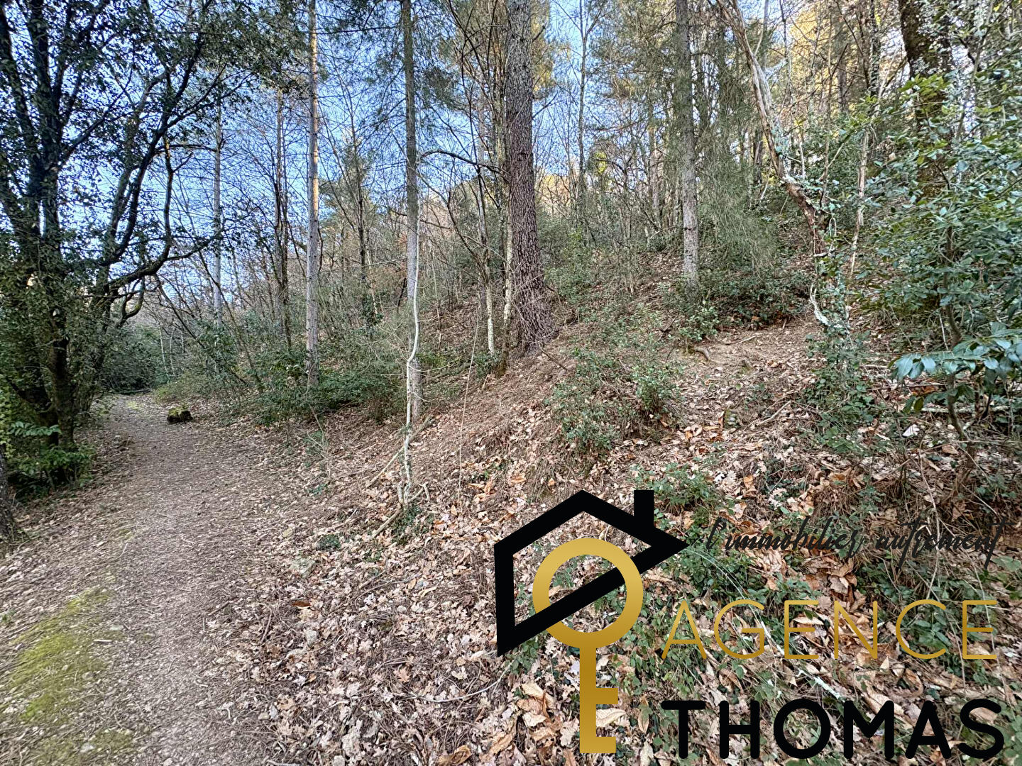 Terrain forestier 6355m2 (Zone N)