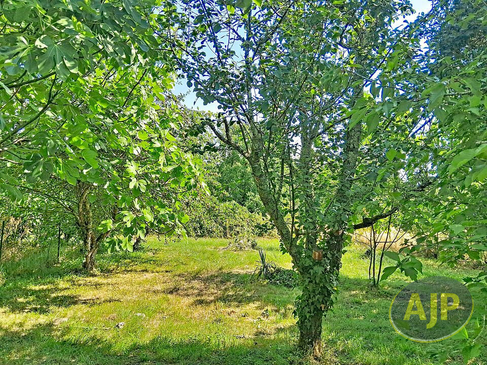 Maison dans les vignes - photo 2