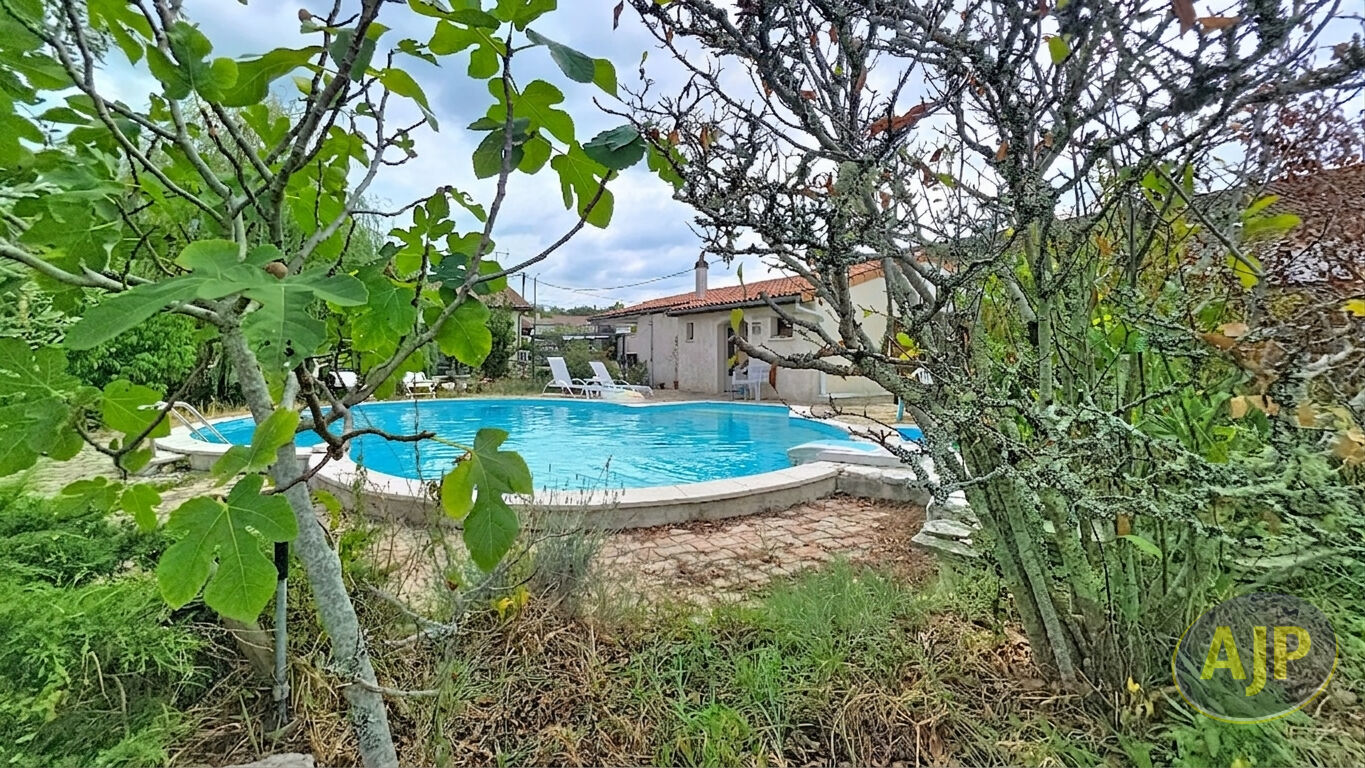 Maison Cestas 160m² garage piscine terrasses et jardin - photo 6