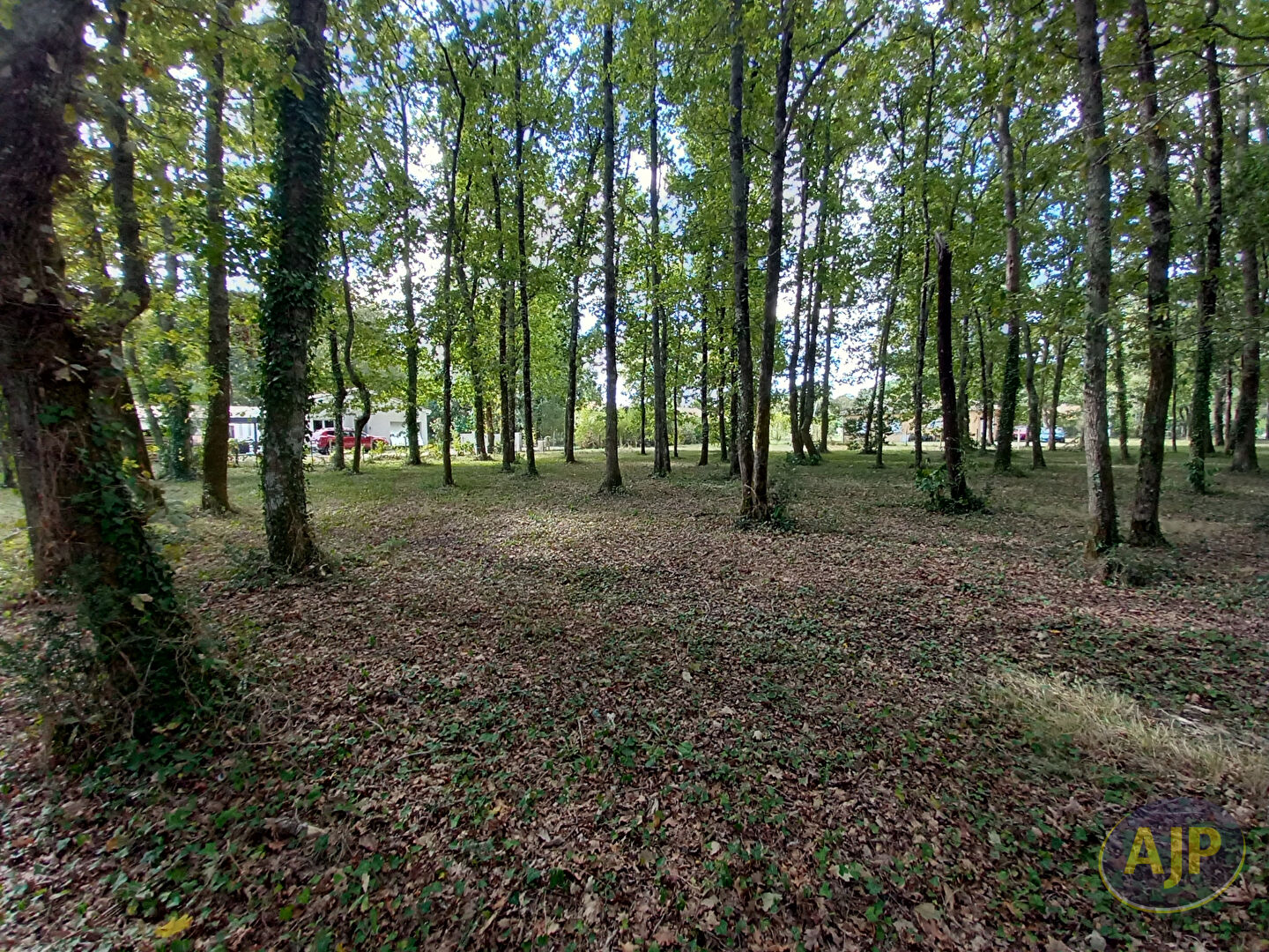 Terrain à bâtir de 933 m² à 5 min de Lesparre - photo 1