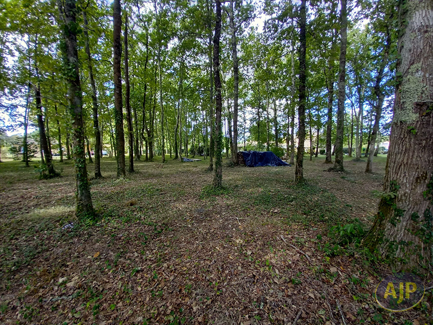Terrain à bâtir de 933 m² à 5 min de Lesparre ! - photo 2