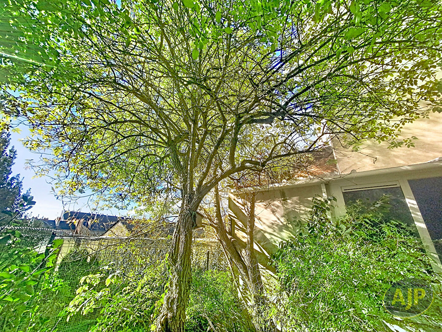 Rareté Dobrée/Sanitat ? Esprit petite maison en ultra-centre - photo 4
