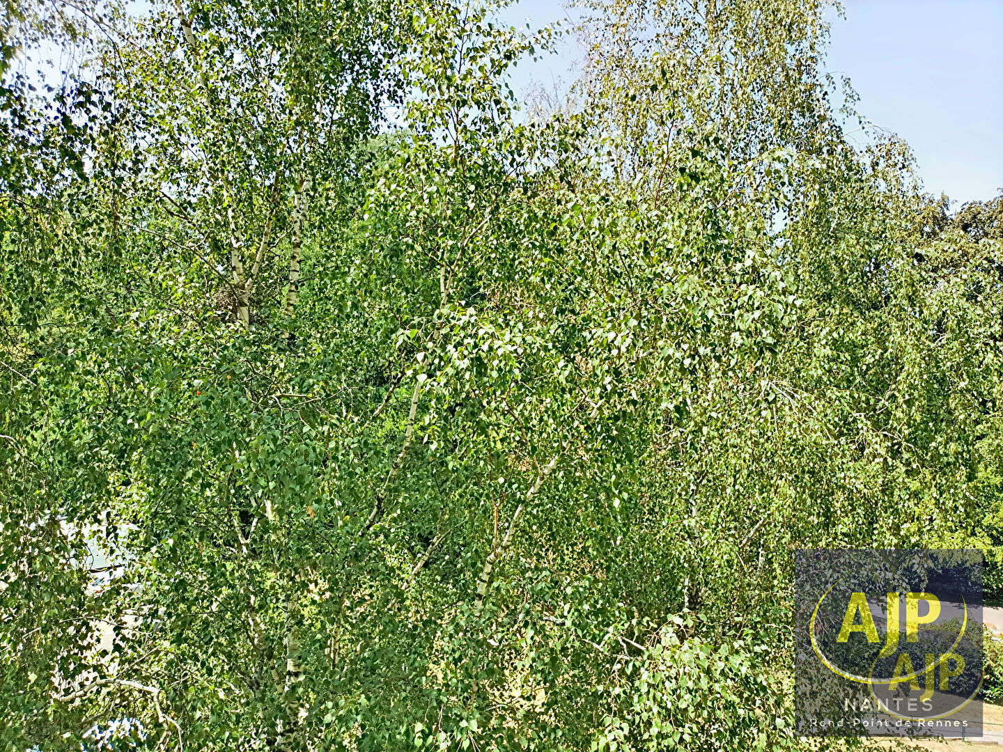 T4 Parc de la Gaudinière/Schuman - photo 4