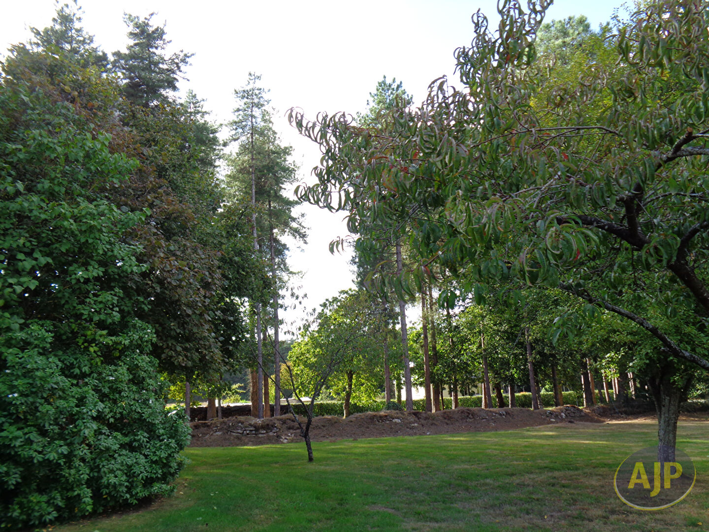 Terrain Plumelec 400 m2 - photo 9
