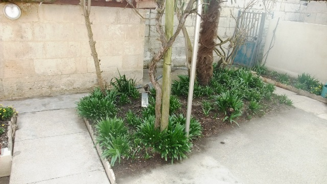 MAISON T2 DE 53M²  DE PLAIN PIED  AVEC COURETTE - photo 2