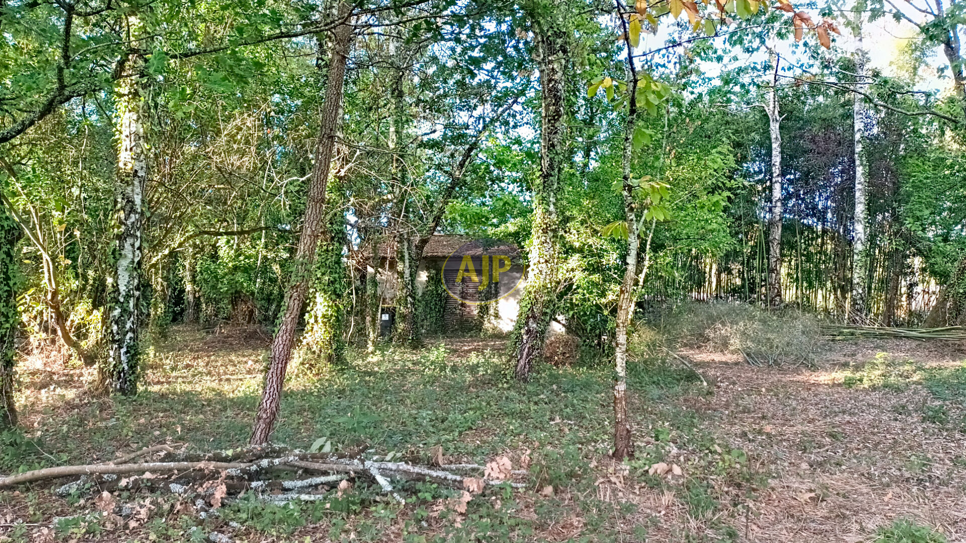 Maison Saint Vivien De Medoc 2 pièce(s) 45 m2 - photo 2