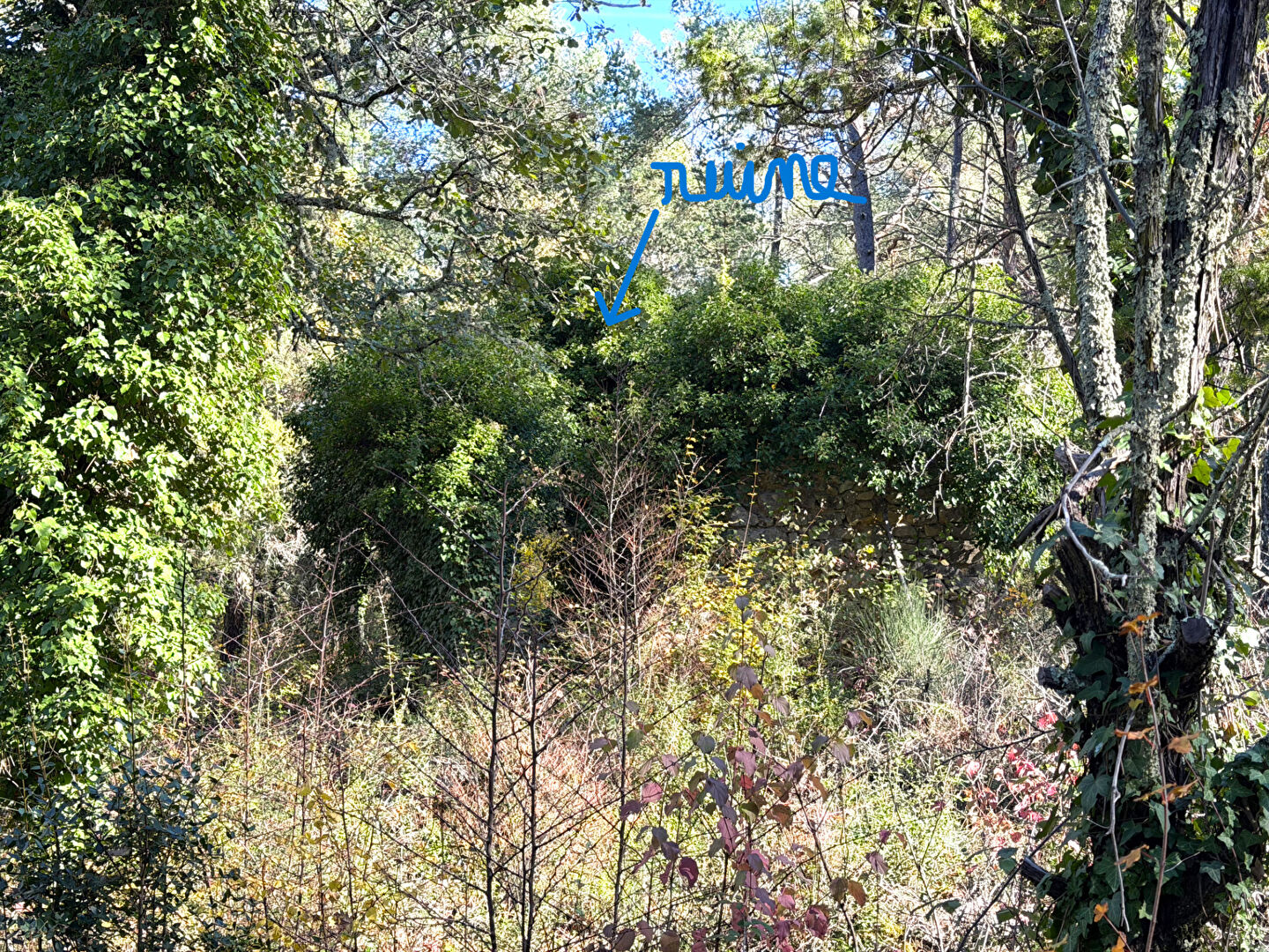 Terrain avec Mazet ,Callian