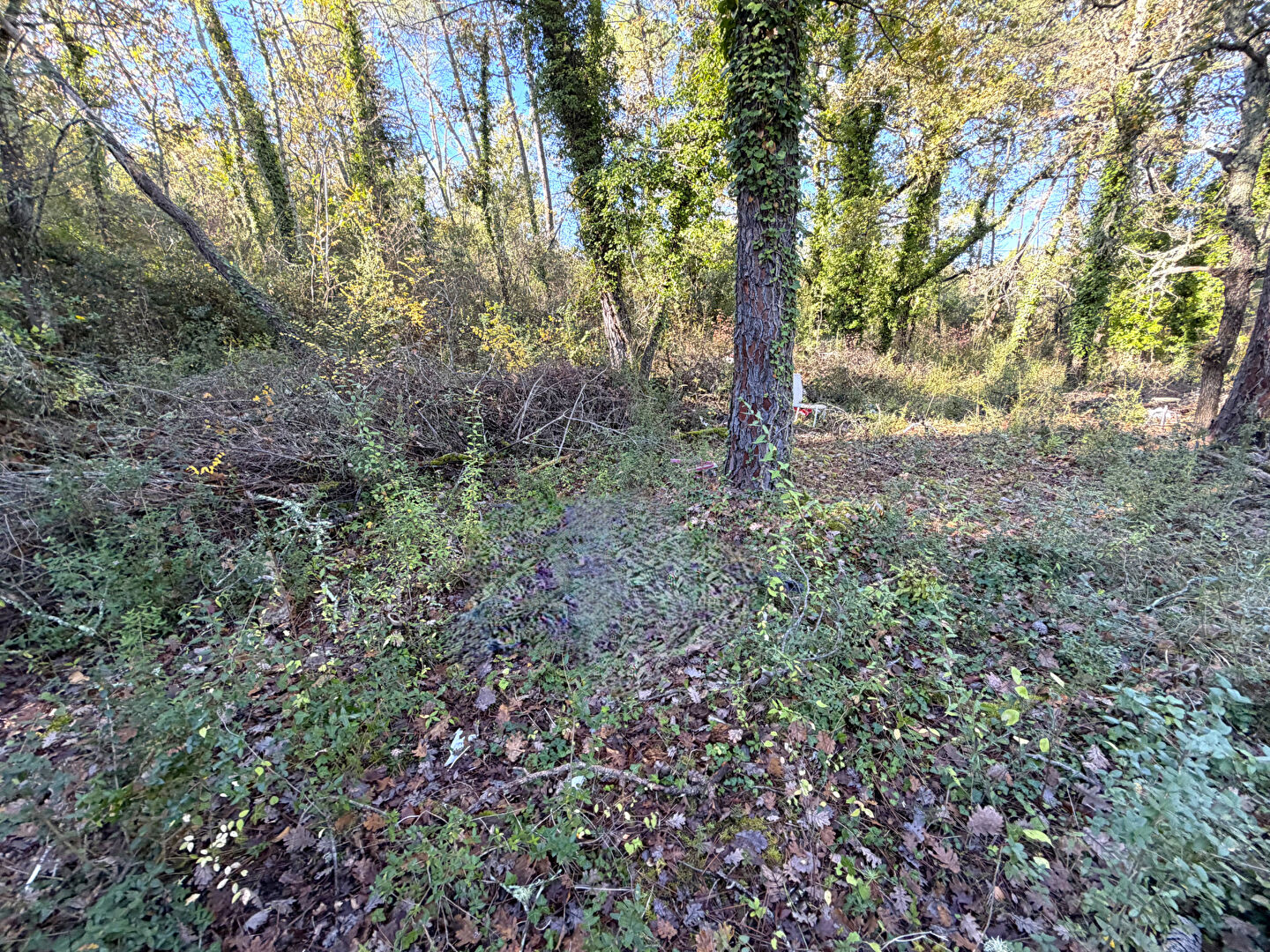 Photo Terrain avec Mazet ,Callian image 2/4