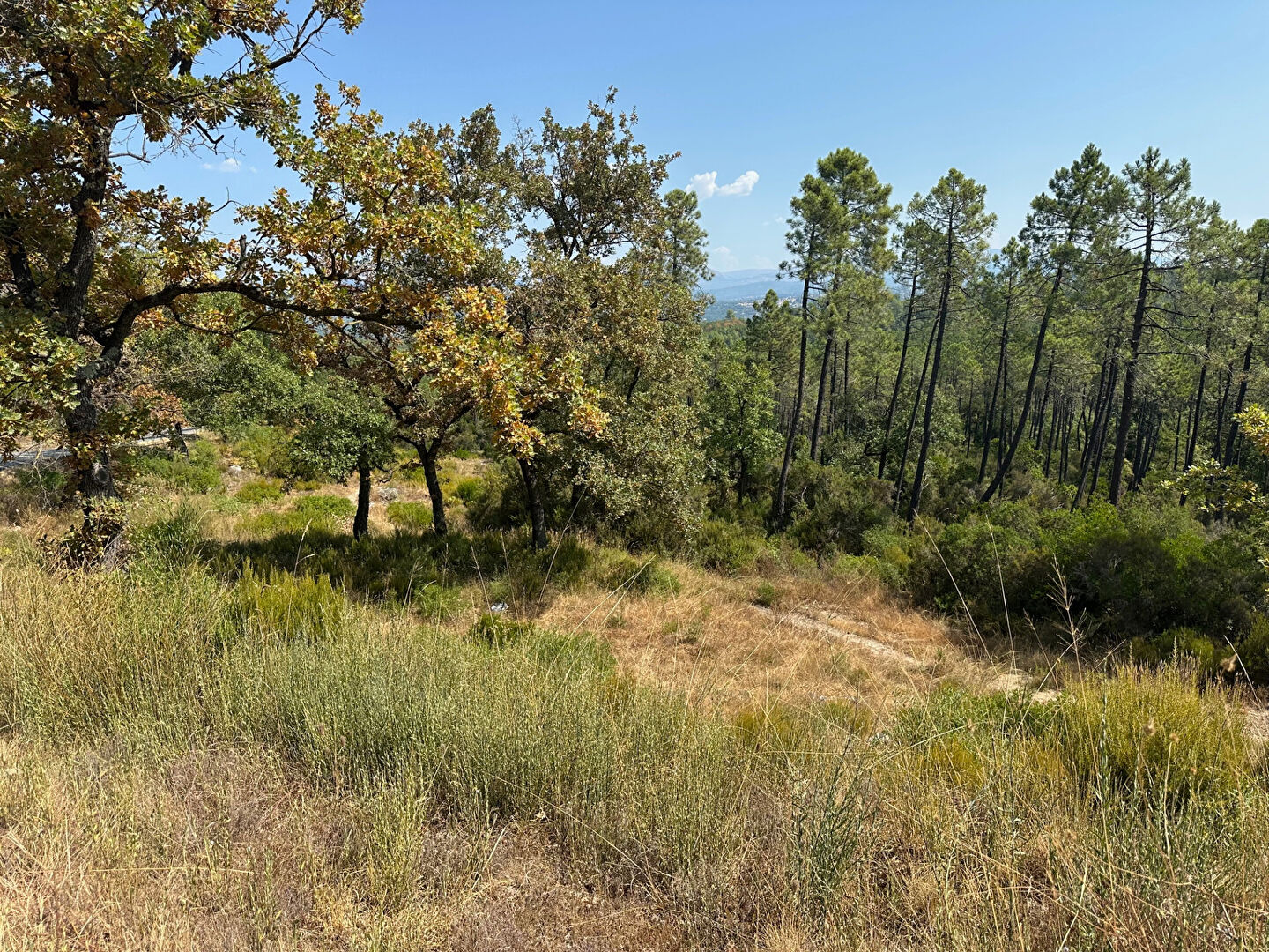 Terrain de loisir 1,2ha