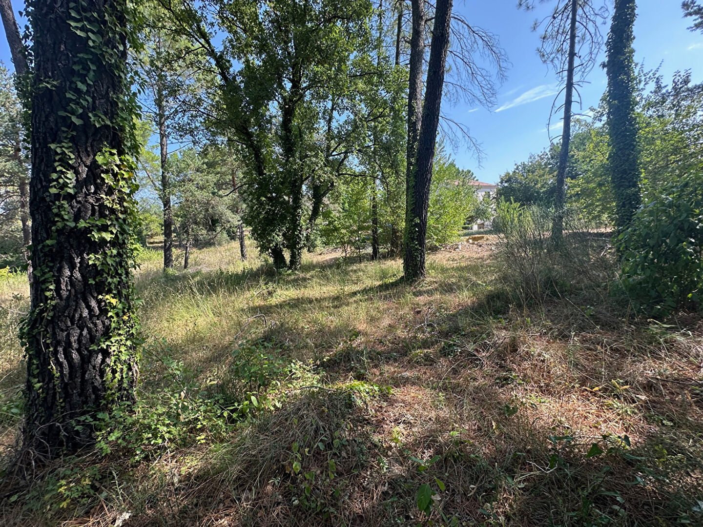 Agence immobilière de AR2 immobilier Seillans