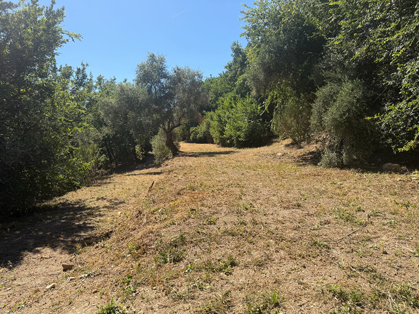 Agence immobilière de AR2 immobilier Seillans