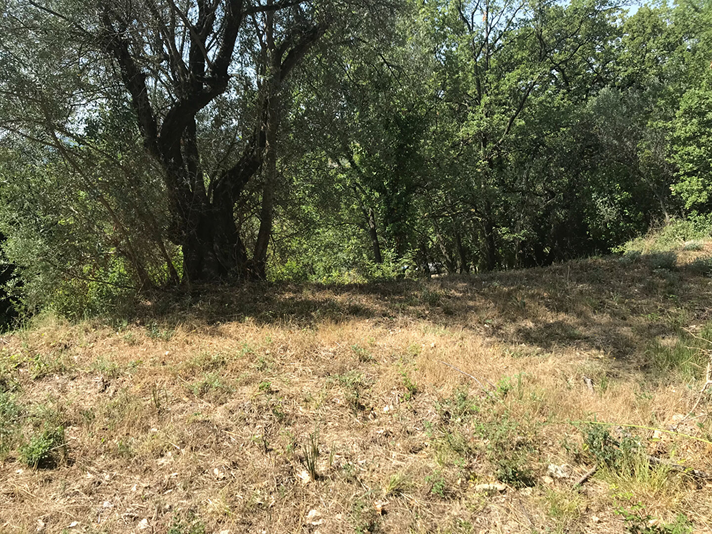 Photo Terrain Callian image 3/4