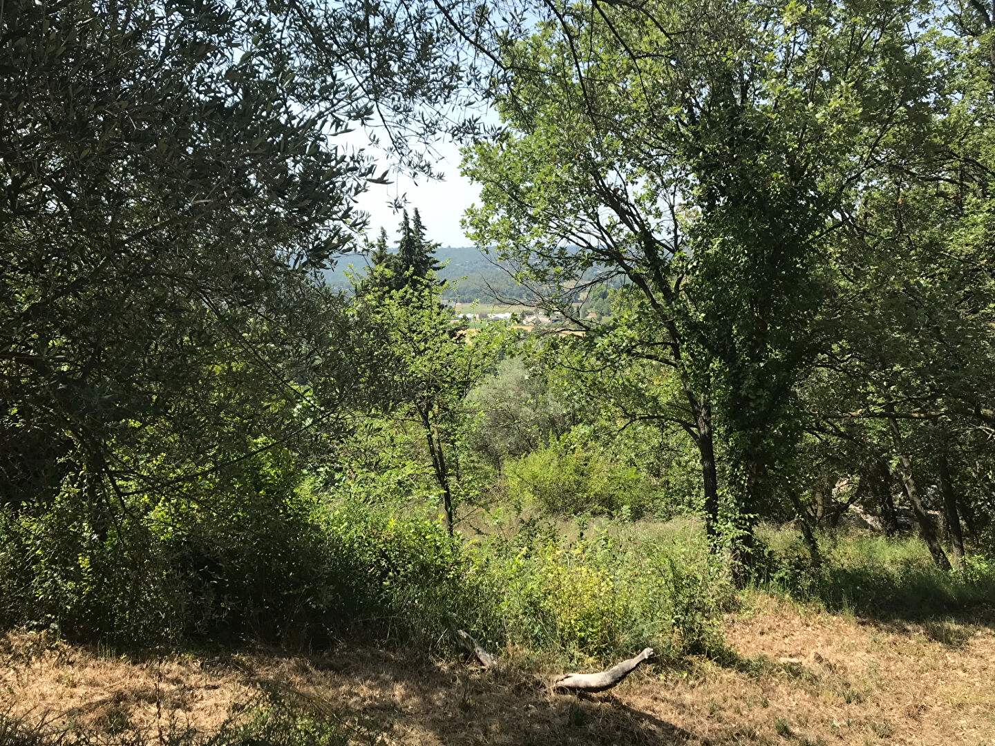 Photo Terrain Callian image 4/4