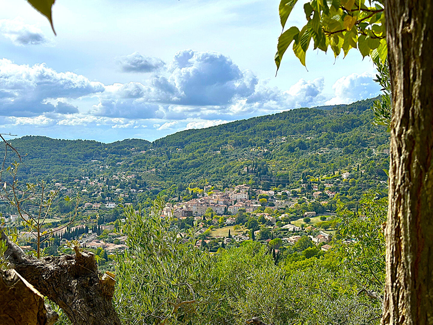 Agence immobilière de AR2 immobilier Seillans