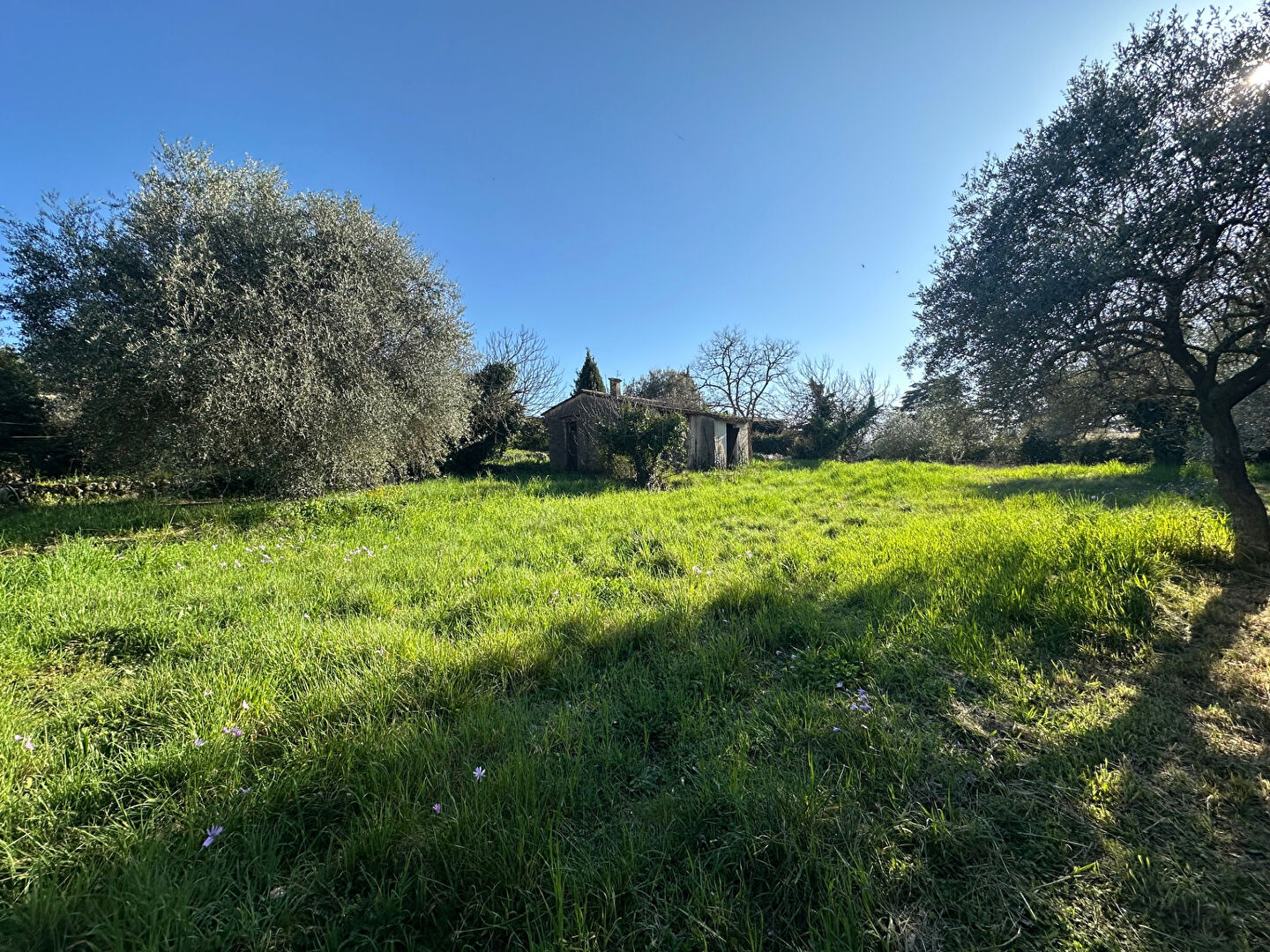 Photo Maison et Programme 2 villas image 2/6