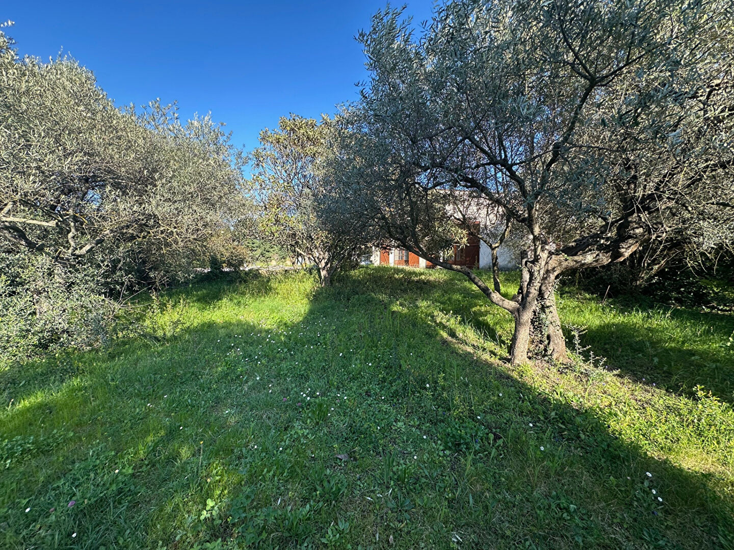 Photo Maison et Programme 2 villas image 3/6