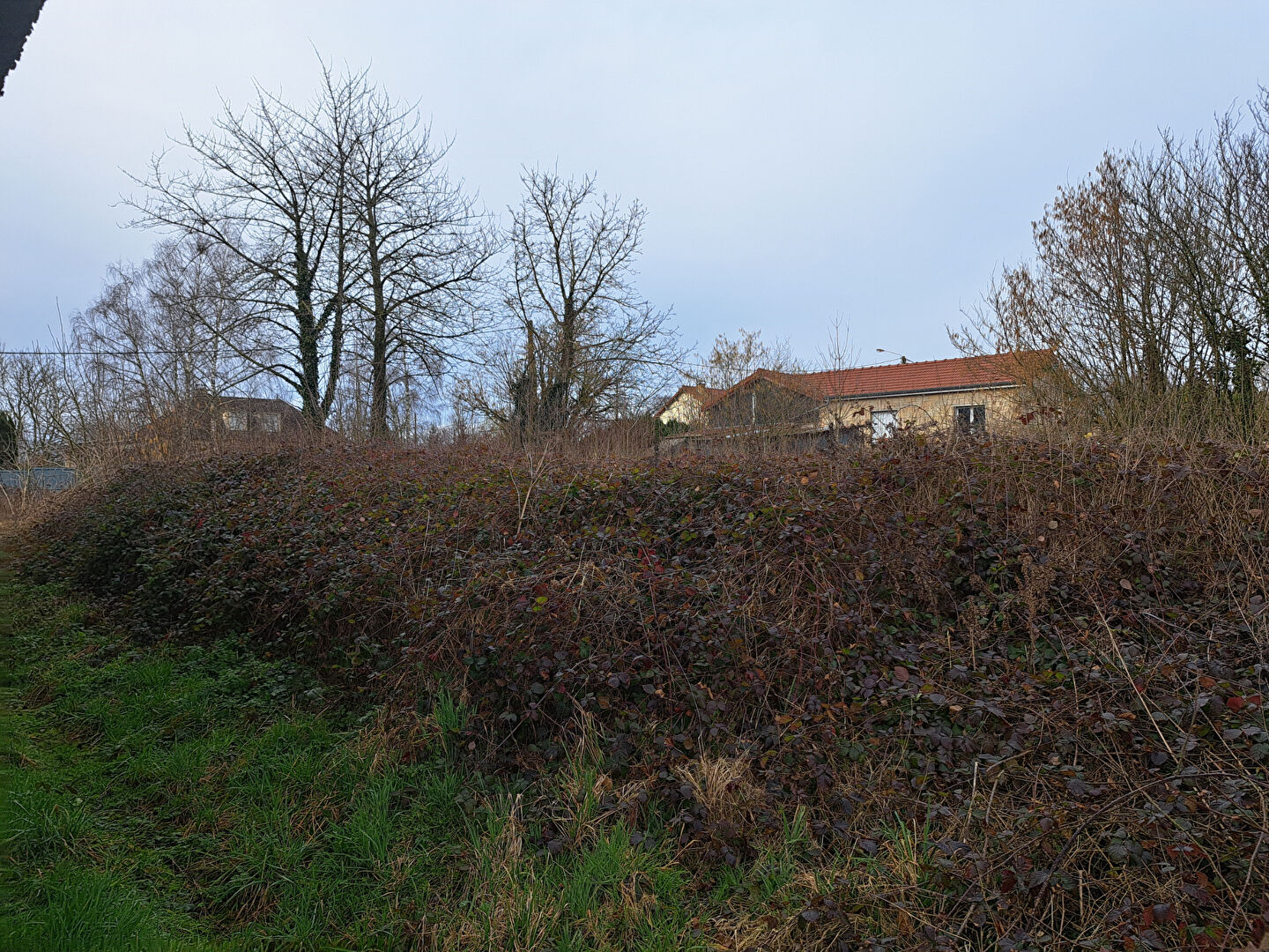 Terrain à vendre à Charbogne - Référence 12632