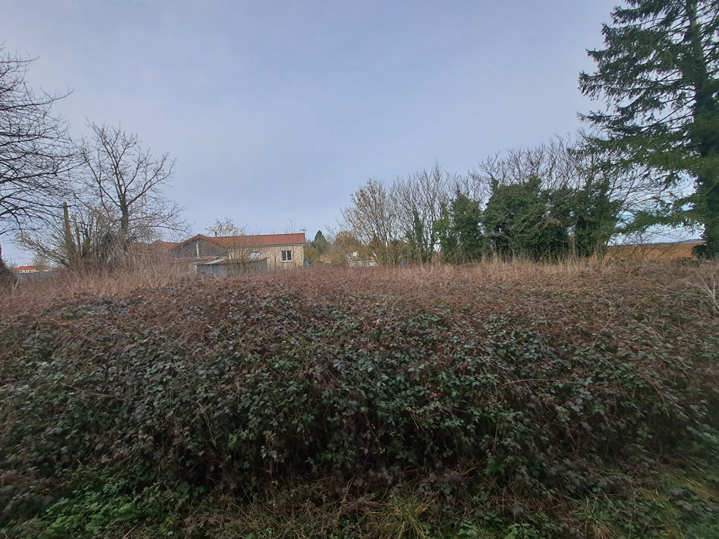Photo Terrain à vendre à Charbogne - Référence 12632 image 2/2