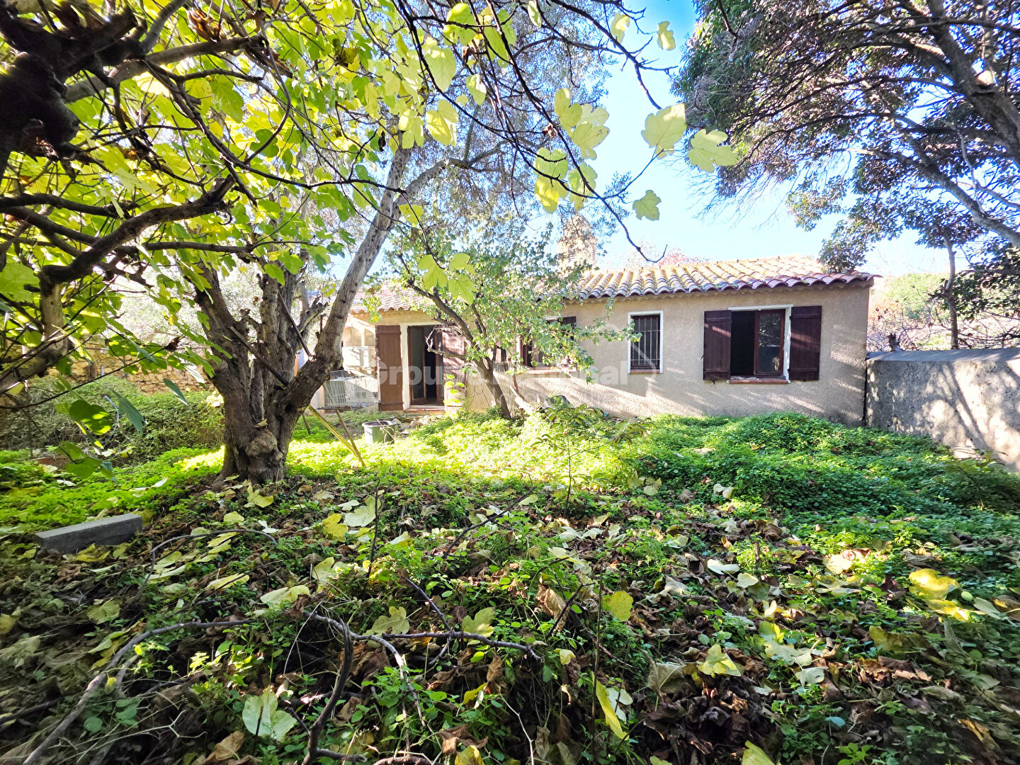 Photo Maison 4 pièce(s) à Saint-Chamas image 2/6