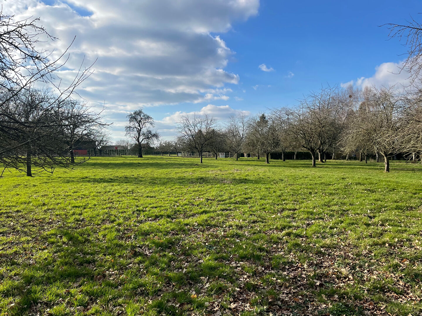 Photo Terrain LYONS LA FORET image 4/4