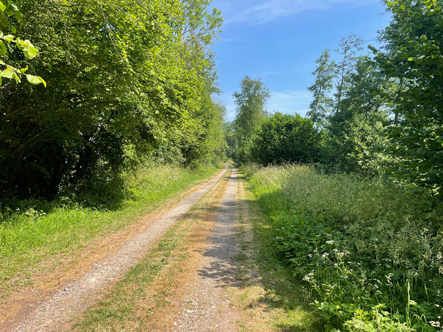 Photo 15 MNS LYONS LA FORET image 3/6