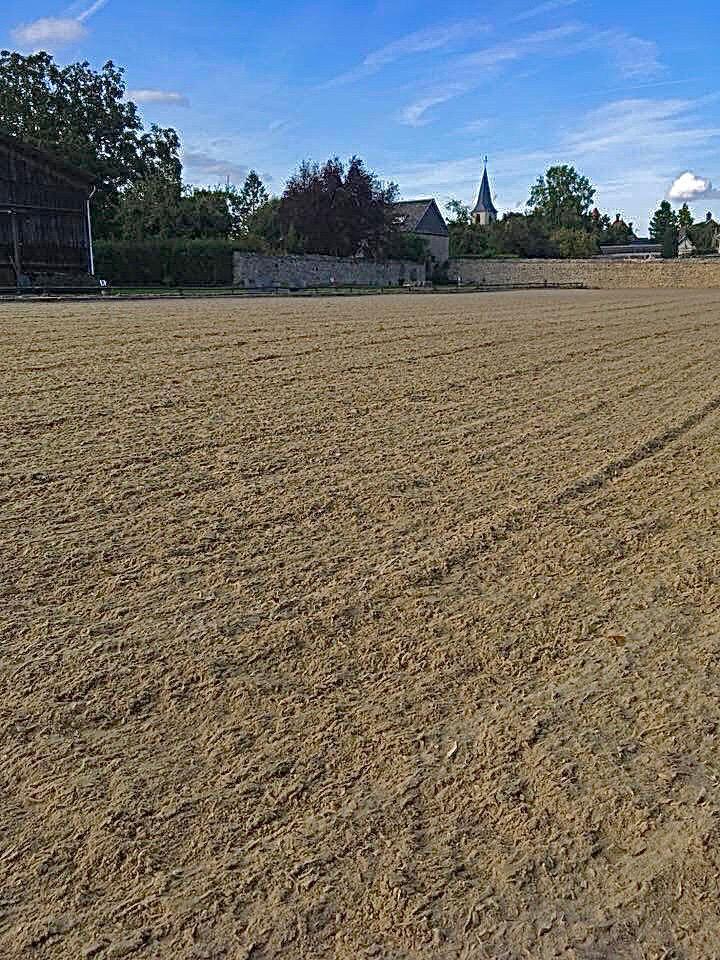 Photo ECURIE, CHEVAUX image 5/6